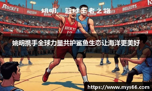 333体育官网