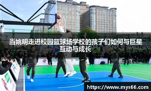 333体育官网