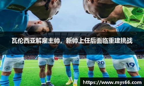 333体育官网
