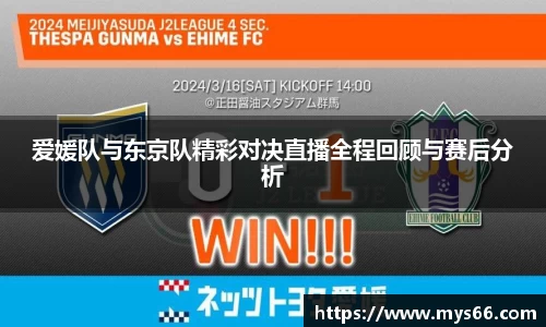 333体育平台