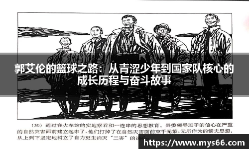 333体育官网