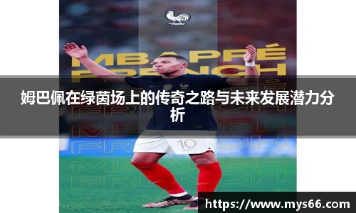 333体育官网