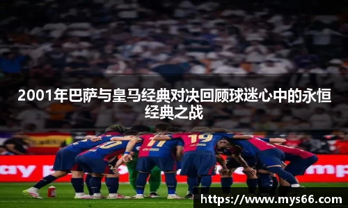 333体育直播